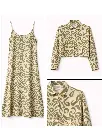 cream olive dr1047.webp